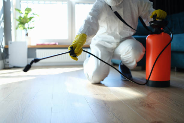 Reliable Biohazard contractor in Brighton, IL by Trauma Clean Pros